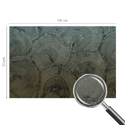 Papel de parede 3D Anéis de madeira