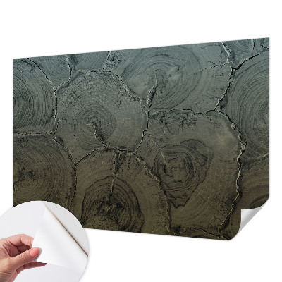 Papel de parede 3D Anéis de madeira