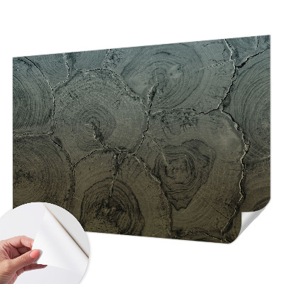 Papel de parede 3D Anéis de madeira