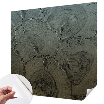 Papel de parede 3D Anéis de madeira