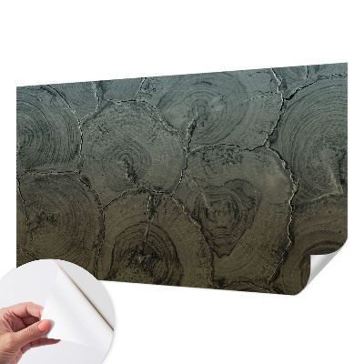 Papel de parede 3D Anéis de madeira