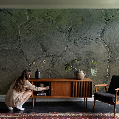 Papel de parede 3D Anéis de madeira
