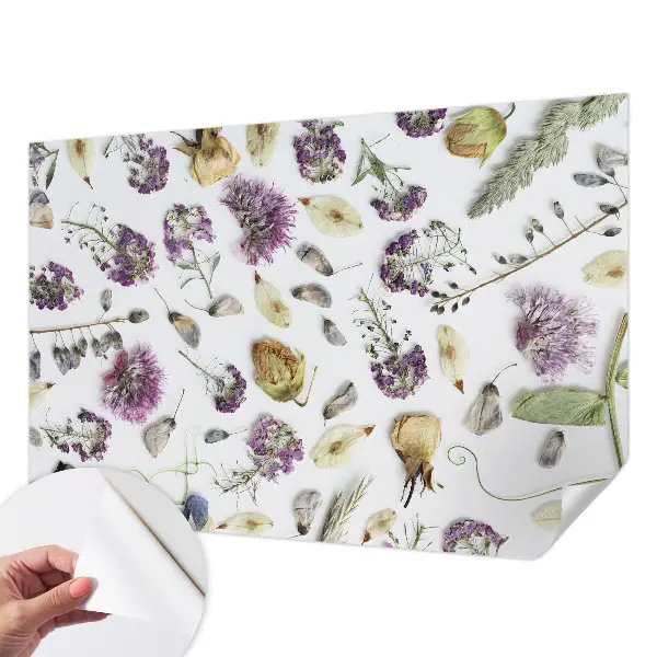 Autocolante de parede fotográfico com motivo de flores secas