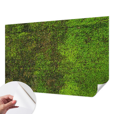 Papel de parede autocolante Tapete verde