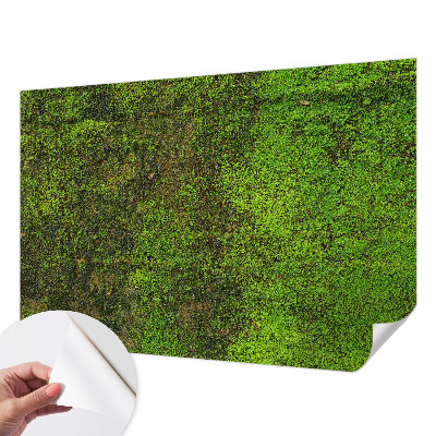 Papel de parede autocolante Tapete verde