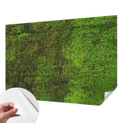 Papel de parede autocolante Tapete verde