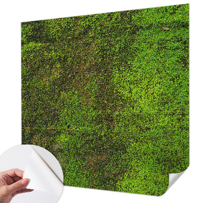 Papel de parede autocolante Tapete verde