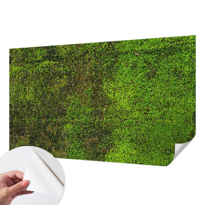 Papel de parede autocolante Tapete verde