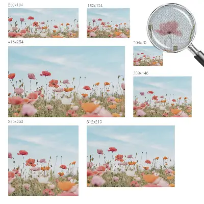 Autocolante de parede fotográfico com estampa de flores de papoula