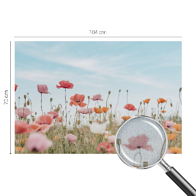 Autocolante de parede fotográfico Flores de papoula