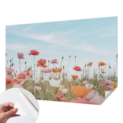 Autocolante de parede fotográfico Flores de papoula
