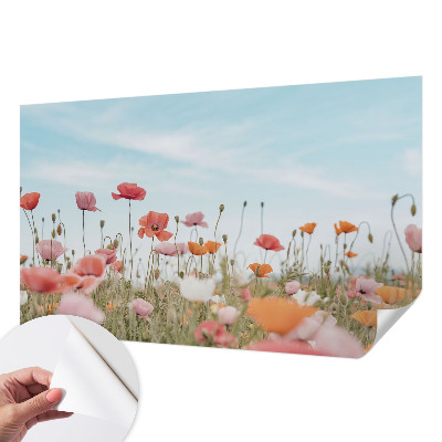 Autocolante de parede fotográfico Flores de papoula