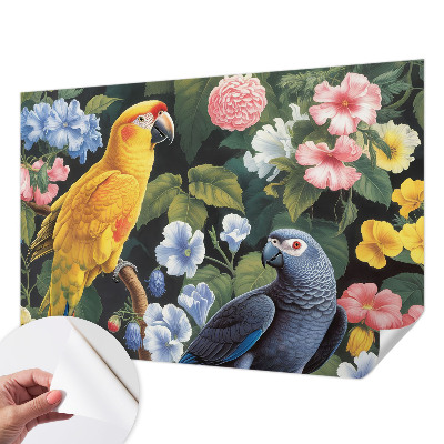 Papel de parede autocolante Pássaros exóticos