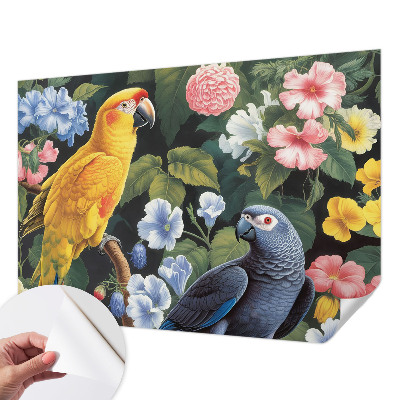 Papel de parede autocolante Pássaros exóticos