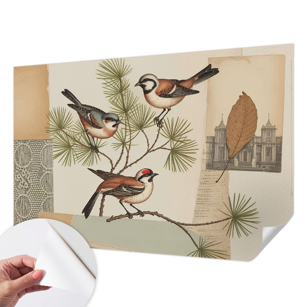 Papel de parede autocolante colagem de pássaros