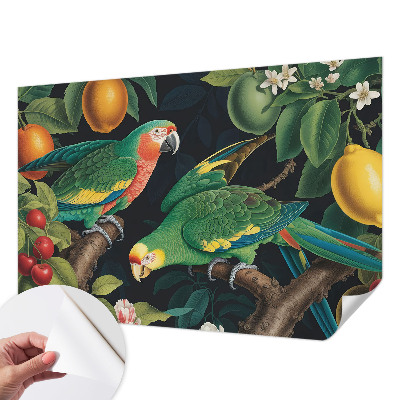 Papel de parede para criança Aventura tropical