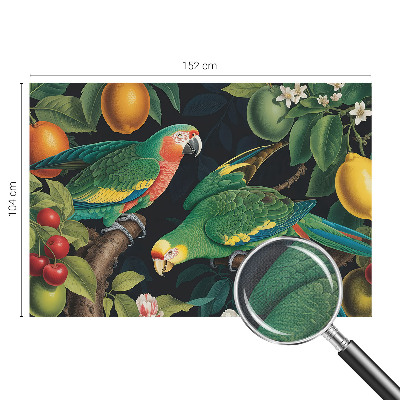 Papel de parede para criança Aventura tropical