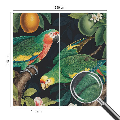 Papel de parede para criança Aventura tropical