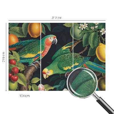 Papel de parede para criança Aventura tropical
