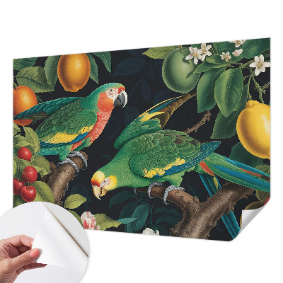 Papel de parede para criança Aventura tropical