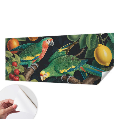 Papel de parede para criança Aventura tropical