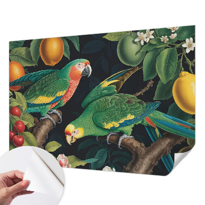 Papel de parede para criança Aventura tropical