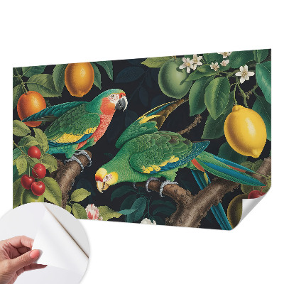 Papel de parede para criança Aventura tropical