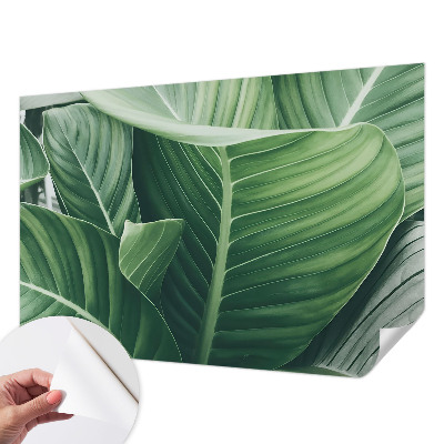 Papel de parede autocolante com padrão Paz Verde