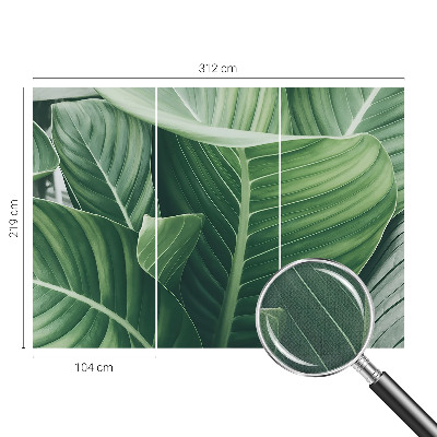 Papel de parede autocolante Paz Verde