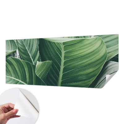 Papel de parede autocolante Paz Verde