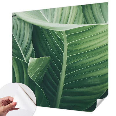 Papel de parede autocolante Paz Verde