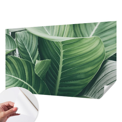 Papel de parede autocolante Paz Verde