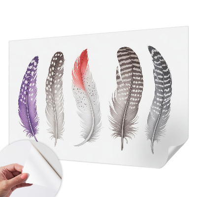 Papel de parede autocolante com padrão de penas