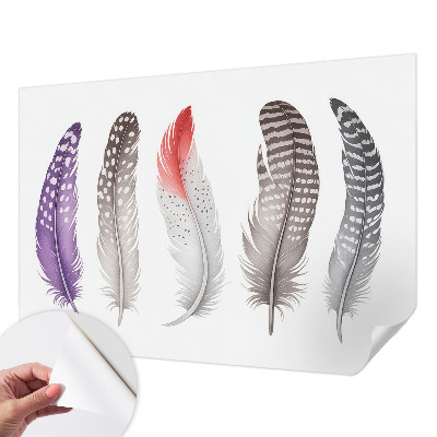 Papel de parede autocolante com padrão de penas