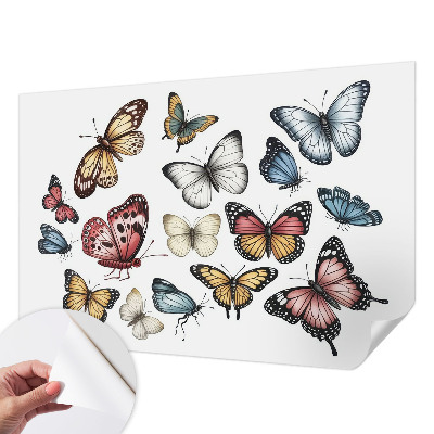 Papel de parede autocolante para quarto com estampa Borboletas do Paraíso