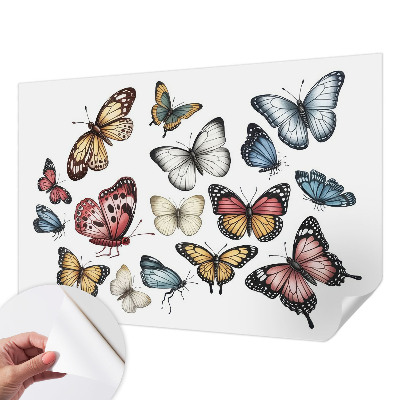Papel de parede autocolante para quarto Borboletas do paraíso