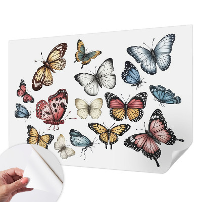 Papel de parede autocolante para quarto Borboletas do paraíso