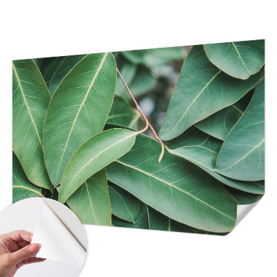 Papel de parede 3D com estampa de folhas verdes