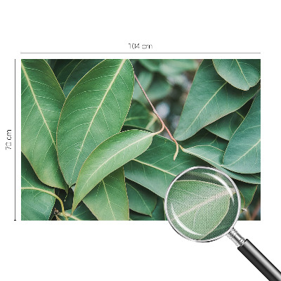 Papel de parede 3D Folhas verdes