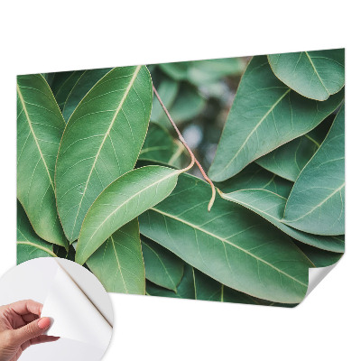 Papel de parede 3D Folhas verdes