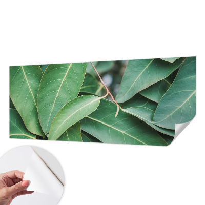 Papel de parede 3D Folhas verdes