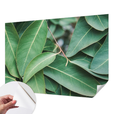 Papel de parede 3D Folhas verdes