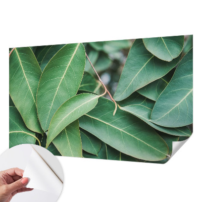 Papel de parede 3D Folhas verdes