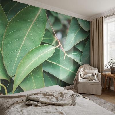 Papel de parede 3D Folhas verdes