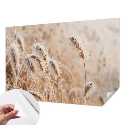 Papel de parede autocolante Paisagem de inverno