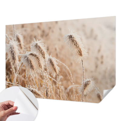 Papel de parede autocolante Paisagem de inverno