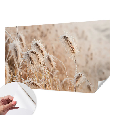 Papel de parede autocolante Paisagem de inverno