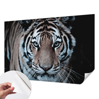 Autocolante de parede fotográfico com retrato de tigre