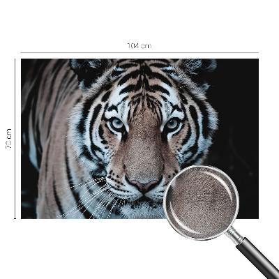 Autocolante de parede fotográfico Retrato de tigre