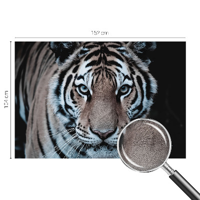 Autocolante de parede fotográfico Retrato de tigre
